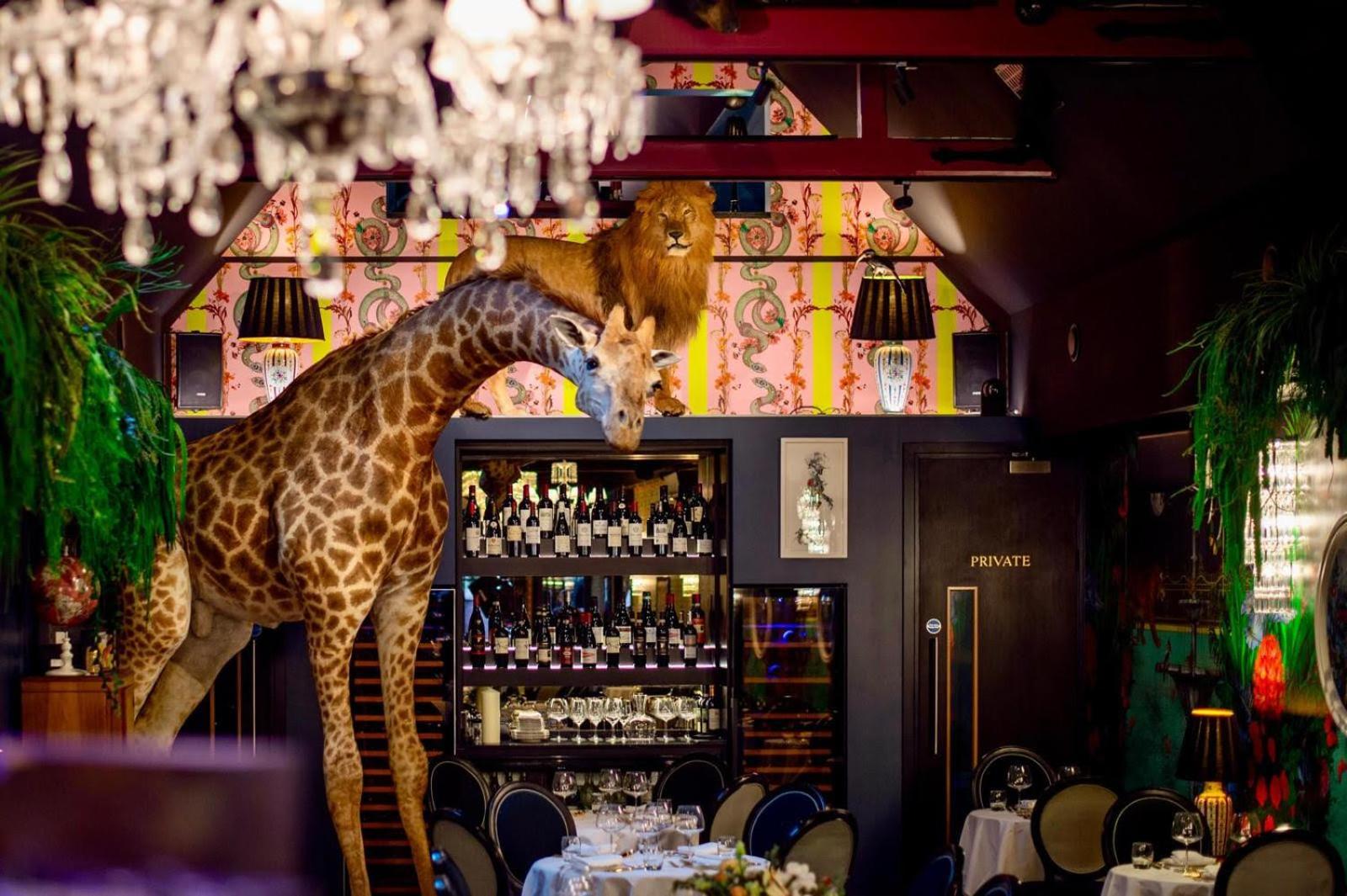 Hux Hotel, Kensington ลอนดอน ภายนอก รูปภาพ